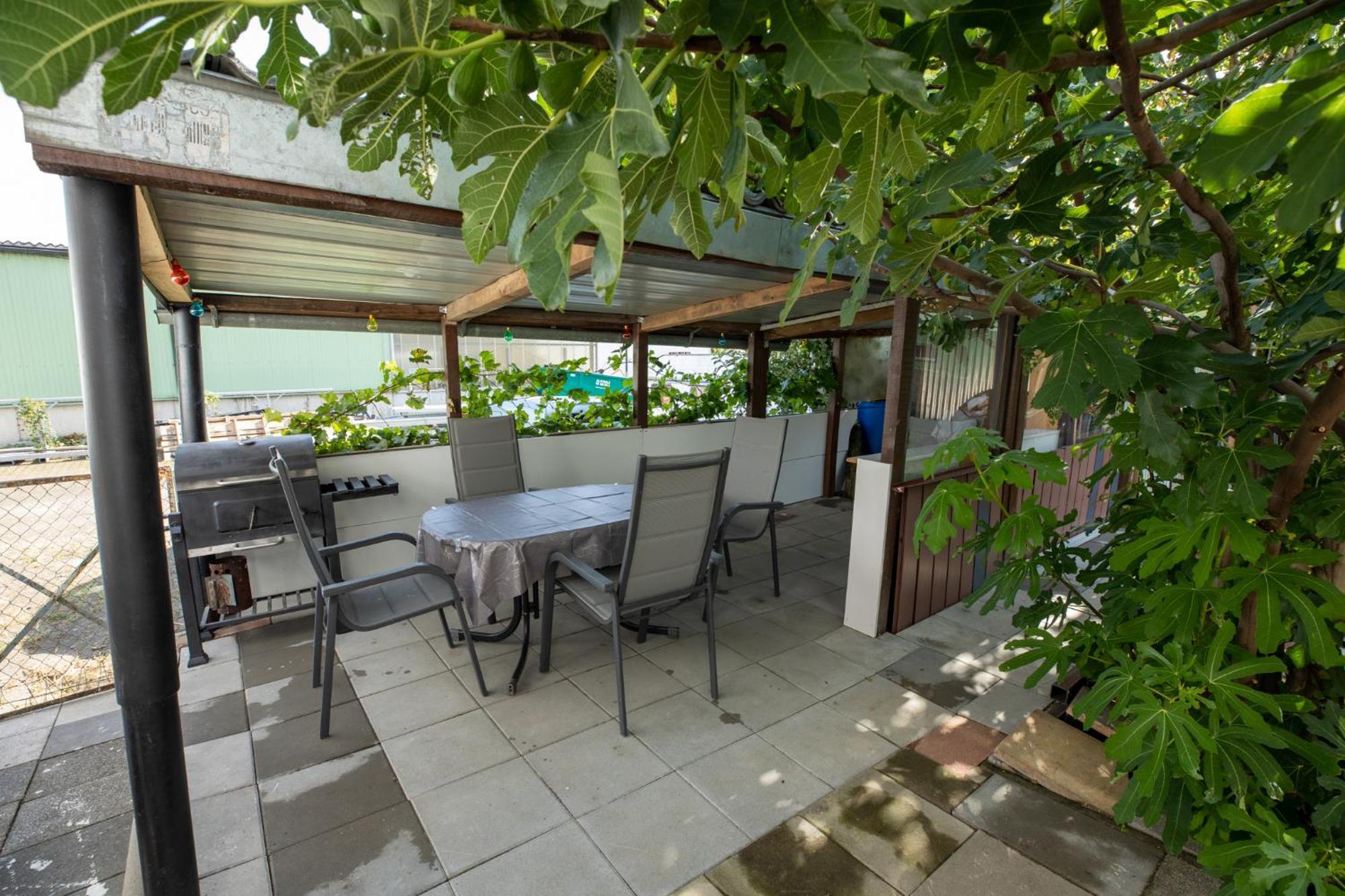 Hochrhein Ferienwohnung Albbruck Exteriör bild
