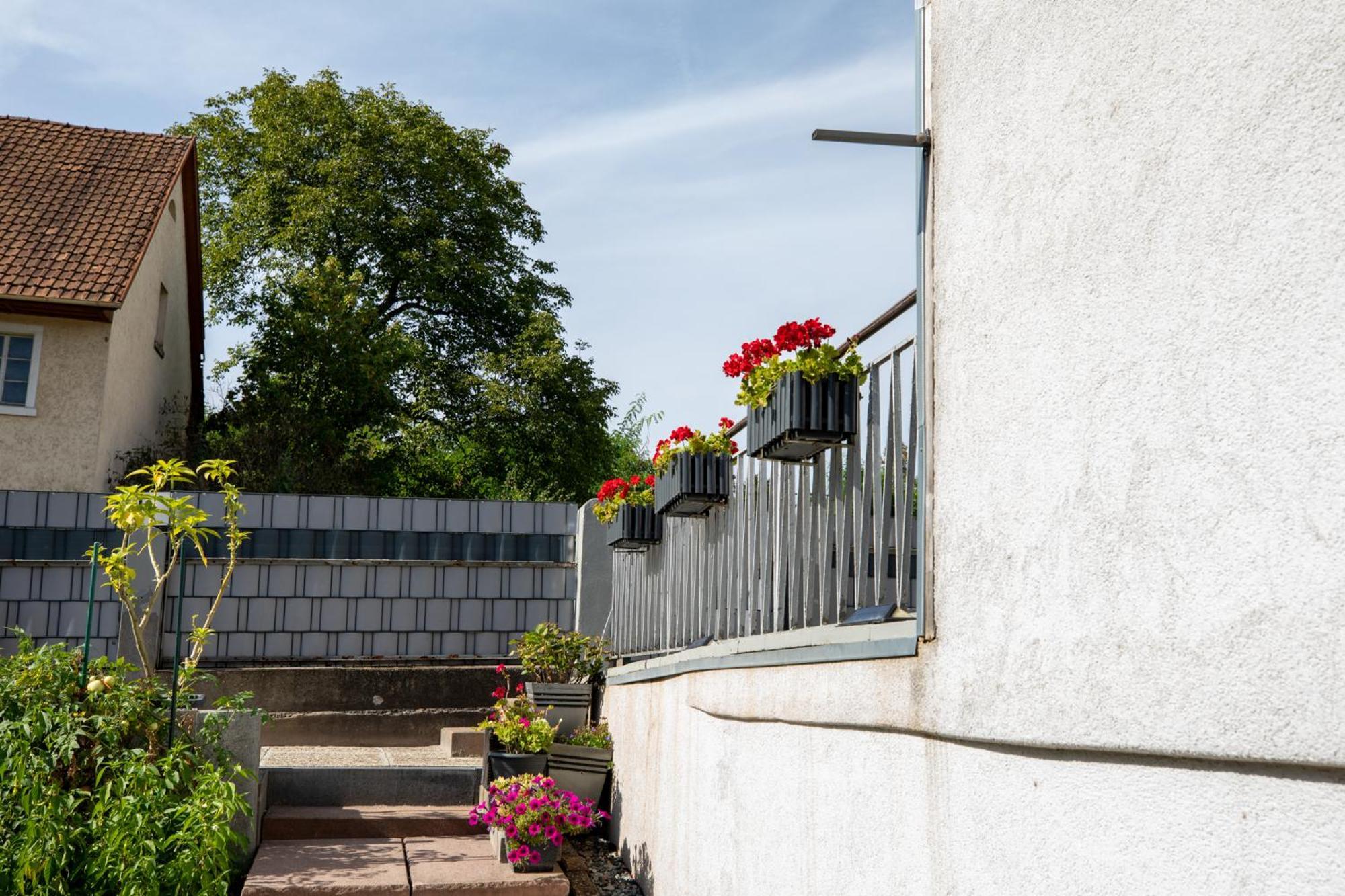 Hochrhein Ferienwohnung Albbruck Exteriör bild