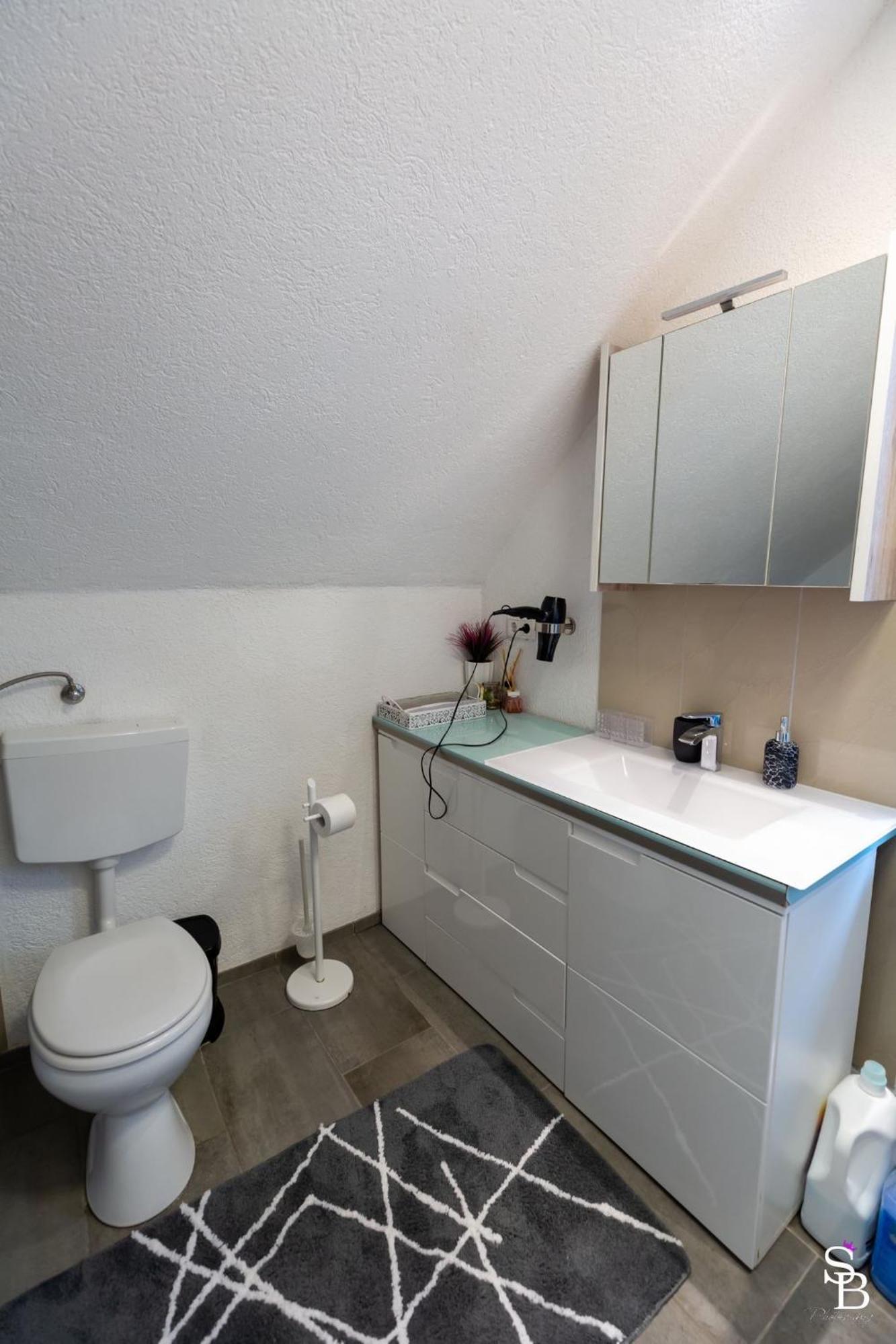 Hochrhein Ferienwohnung Albbruck Exteriör bild